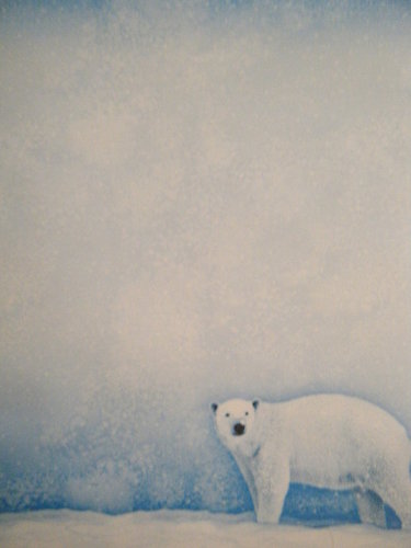 Briefpapier Polar Bear Paper Direct