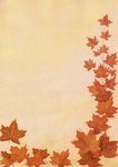 Letter Paper Maple Leaves Menucard