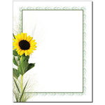 Letter Paper Sunflower The Image Shop