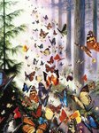 Card Butterflies Leanin Tree USA