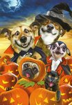 Halloween Card  Hat-Dogs and black cat Leanin Tree