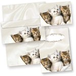 Briefpapier-Set Katze Tatmotive