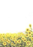 Letter Paper Sunflower Field Menucard