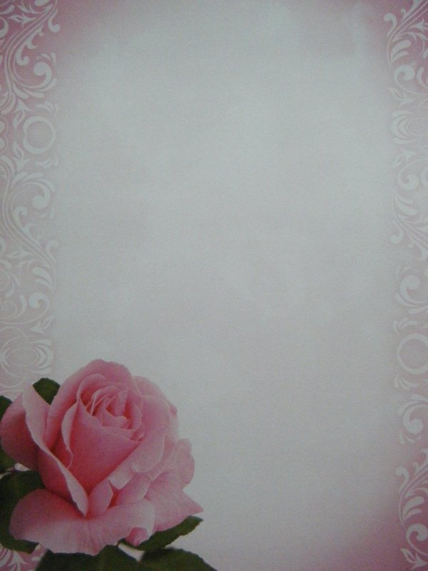 Letter Paper One Rose Paper Direct