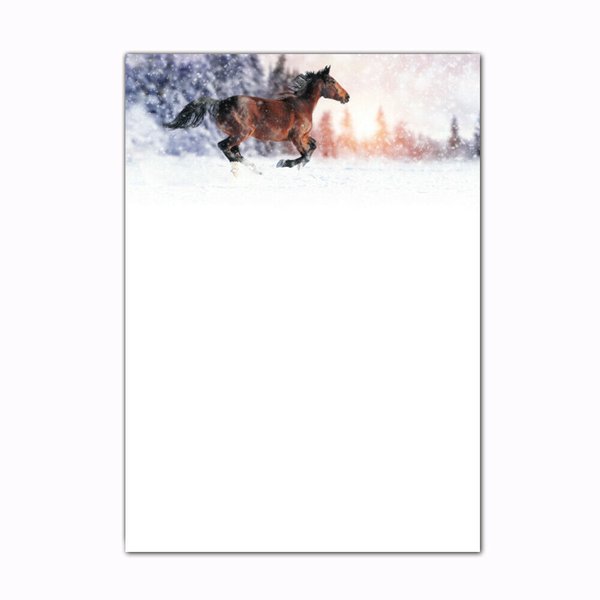 Briefpapier Pferde im Winter AS Druckshop