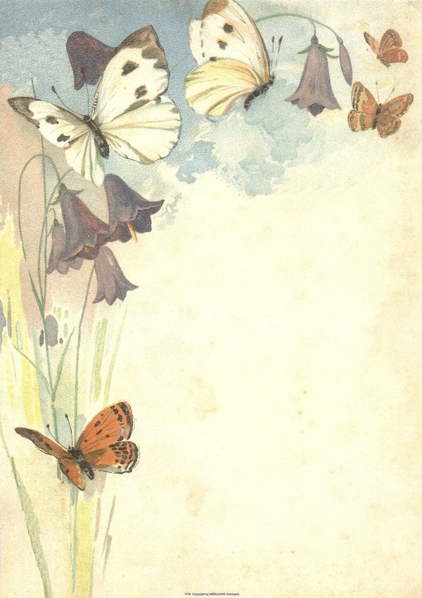 Letter Paper Butterflies Vintage Menucard