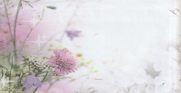 Briefumschlag Wiesenblumen im Wind Auer Paper Art