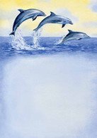 Letter Pad Dolphins WUP A4