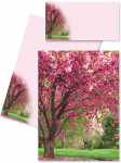 DFW Letter Set Cherry Blossoms