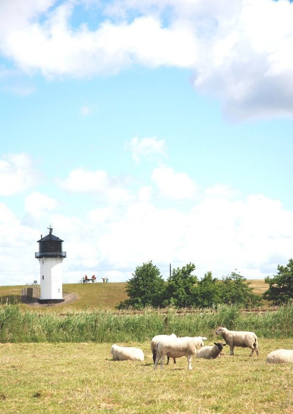 Letter Paper Lighthouse & Sheep Wolfgang Pudlich