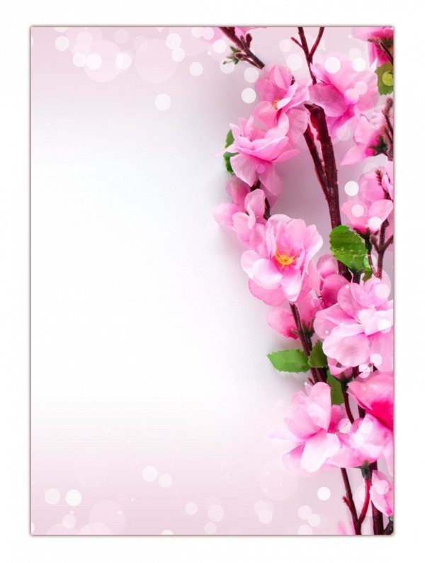 Letter Paper Cherry Blossoms Drucksachenversand