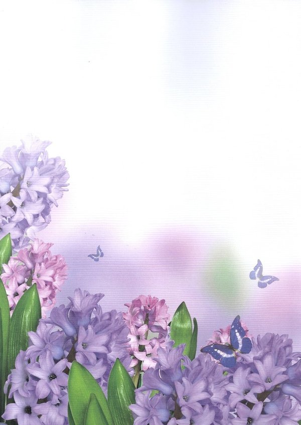 Briefpapier lila Blumen und Schmetterlinge Drucksachenversand